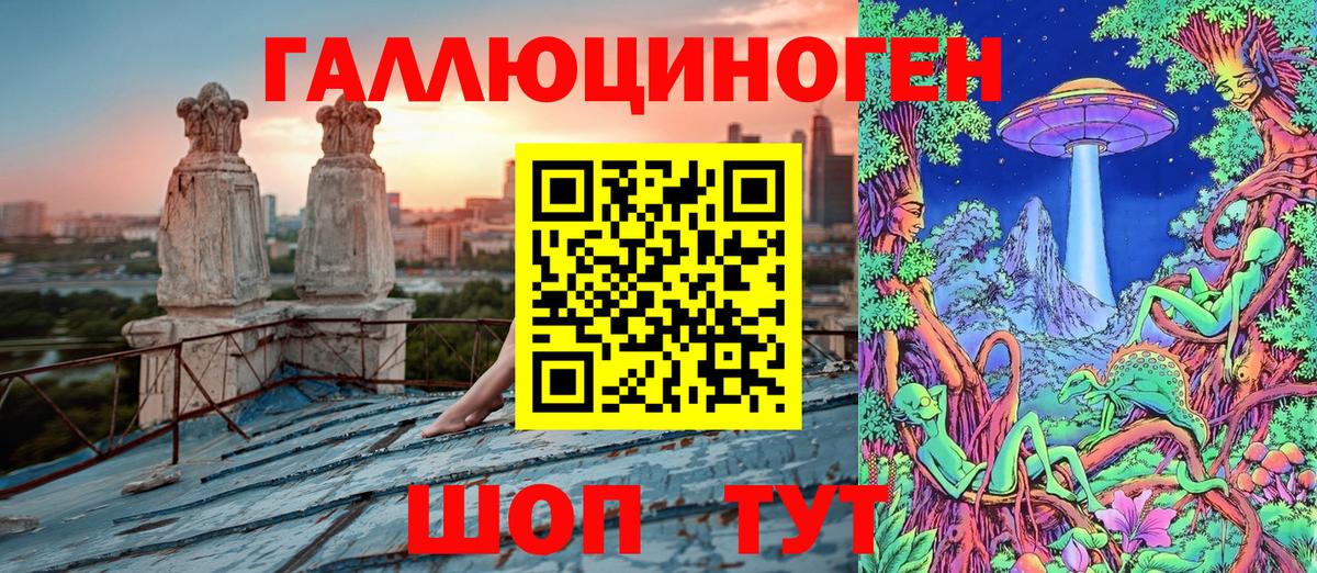 Галлюциногенные грибы Cubensis Камень-на-Оби