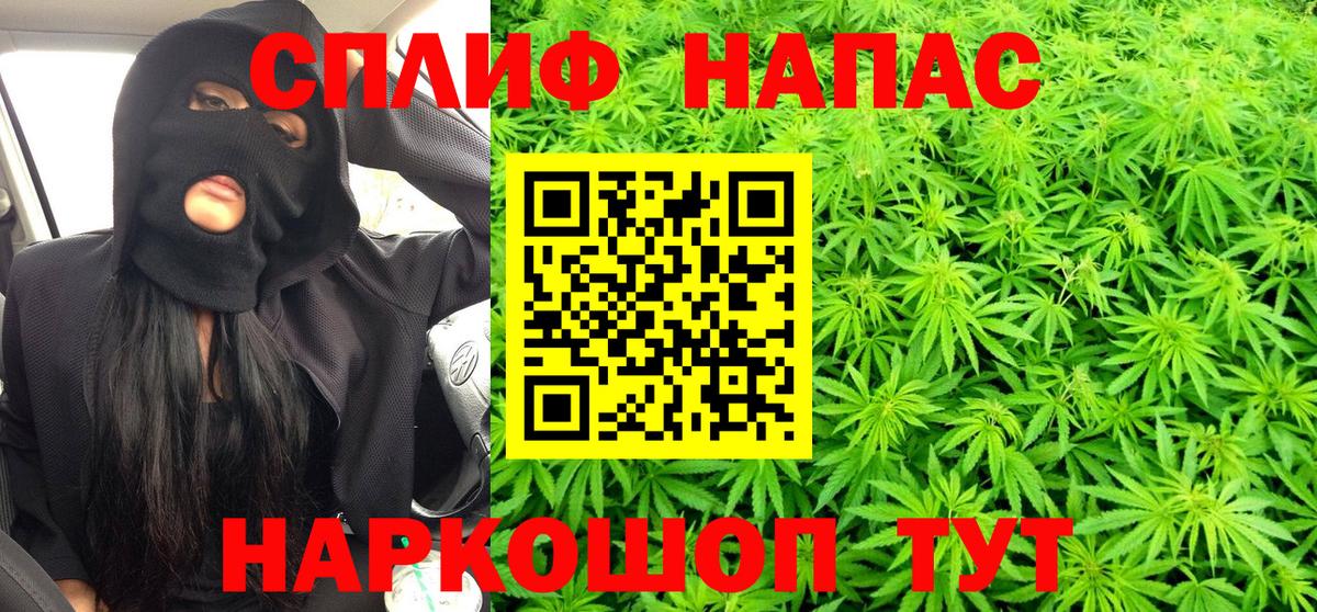 МАРИХУАНА план  Бошки марихуана VHQ  Камень-на-Оби  Вход с VPN 
